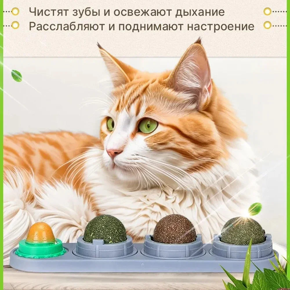 ⭐ Lick & Play 😺 | 4-in-1 Catnip Dental Chew Balls