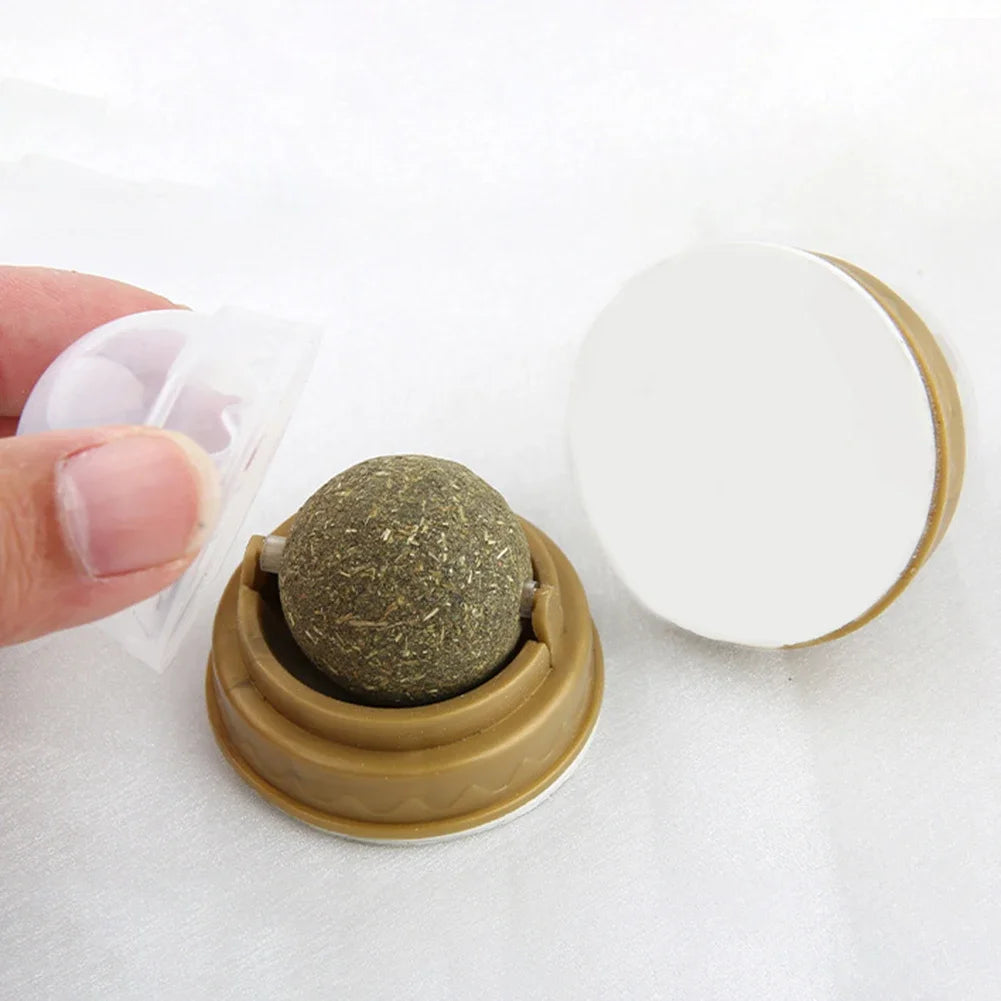 ⭐ MewBall™ – Catnip Wall Toy Highlights