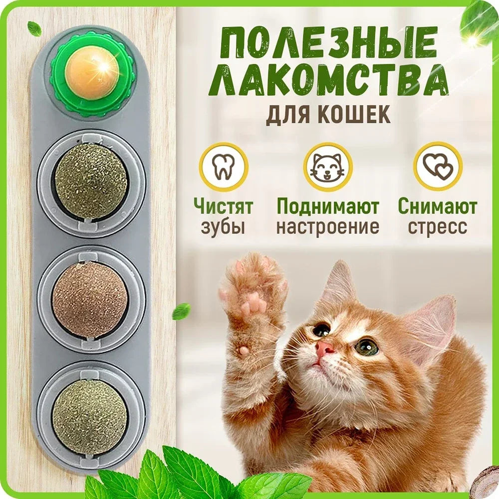 ⭐ Lick & Play 😺 | 4-in-1 Catnip Dental Chew Balls