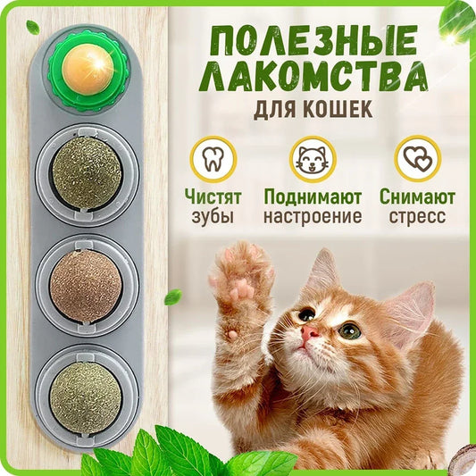 ⭐ Lick & Play 😺 | 4-in-1 Catnip Dental Chew Balls